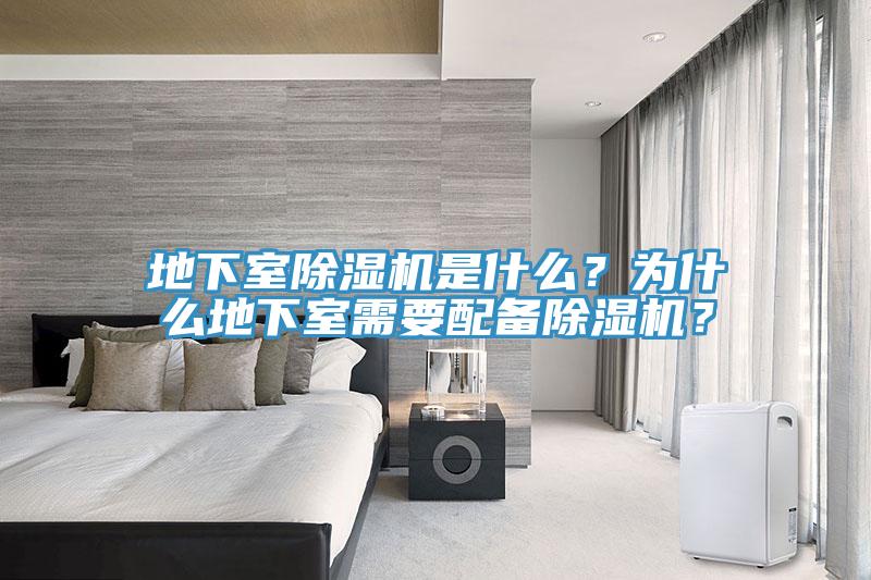 地下室蘑菇视频网站是什麽？為什麽地下室需要配備蘑菇视频网站？