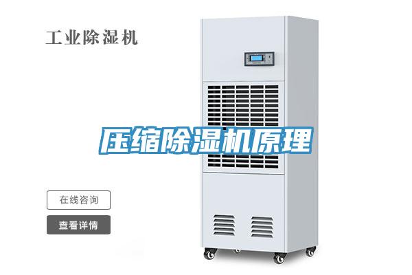 壓縮蘑菇视频网站原理