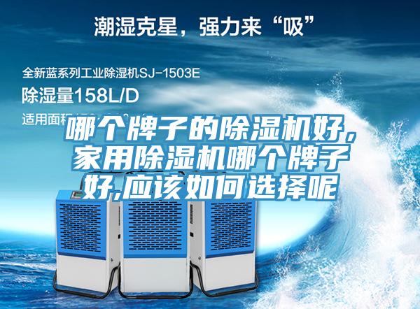 哪個牌子的蘑菇视频网站好，家用蘑菇视频网站哪個牌子好,應該如何選擇呢