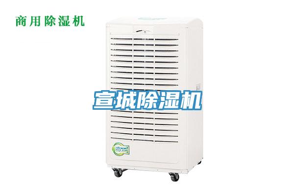 宣城蘑菇视频网站