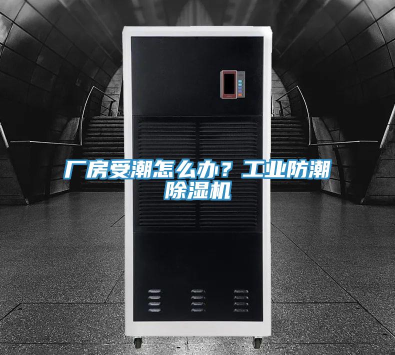 廠房受潮怎麽辦？工業防潮蘑菇视频网站