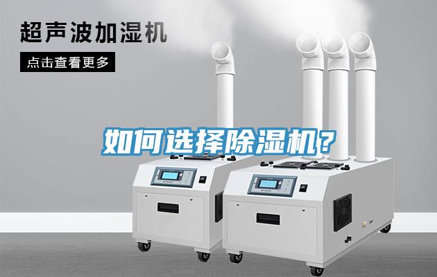 如何選擇蘑菇视频网站？