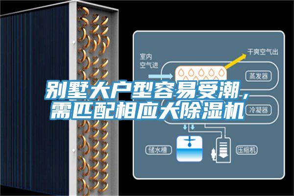 別墅大戶型容易受潮，需匹配相應大蘑菇视频网站