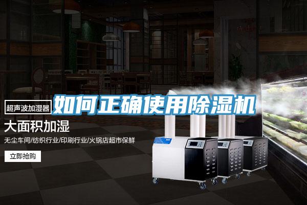 如何正確使用蘑菇视频网站