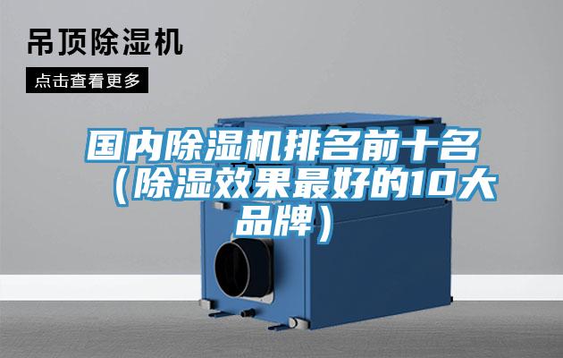 國內蘑菇视频网站排名前十名（除濕效果最好的10大品牌）