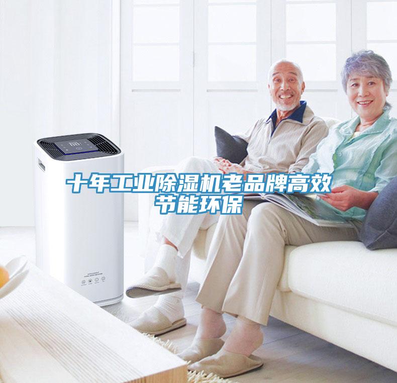 十年工業蘑菇视频网站老品牌高效節能環保