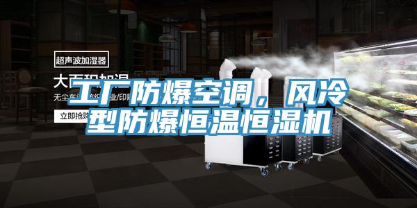 工廠防爆空調，風冷型防爆恒溫恒濕機