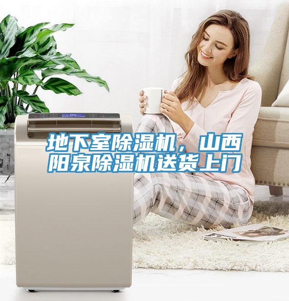 地下室蘑菇视频网站，山西陽泉蘑菇视频网站送貨上門