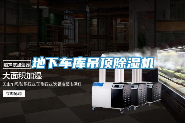 地下車庫吊頂蘑菇视频网站