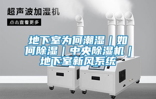 地下室為何潮濕｜如何除濕｜中央蘑菇视频网站｜地下室新風係統