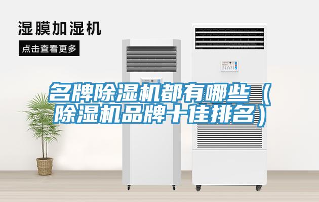 名牌蘑菇视频网站都有哪些（蘑菇视频网站品牌十佳排名）
