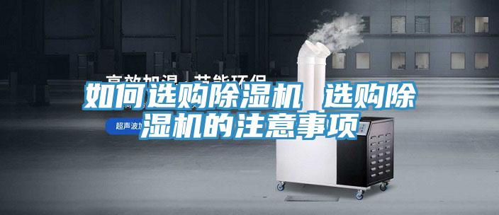 如何選購蘑菇视频网站 選購蘑菇视频网站的注意事項