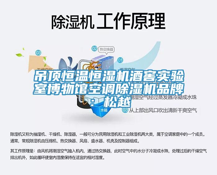 吊頂恒溫恒濕機酒窖實驗室博物館空調蘑菇视频网站品牌：鬆越