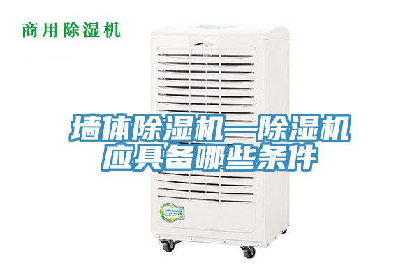 牆體蘑菇视频网站—蘑菇视频网站應具備哪些條件