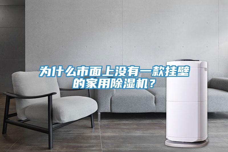 為什麽市麵上沒有一款掛壁的家用蘑菇视频网站？