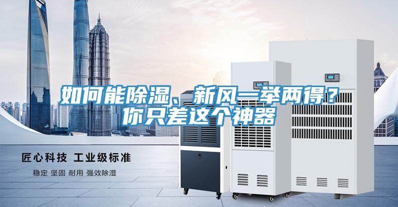 如何能除濕、新風一舉兩得？你隻差這個神器