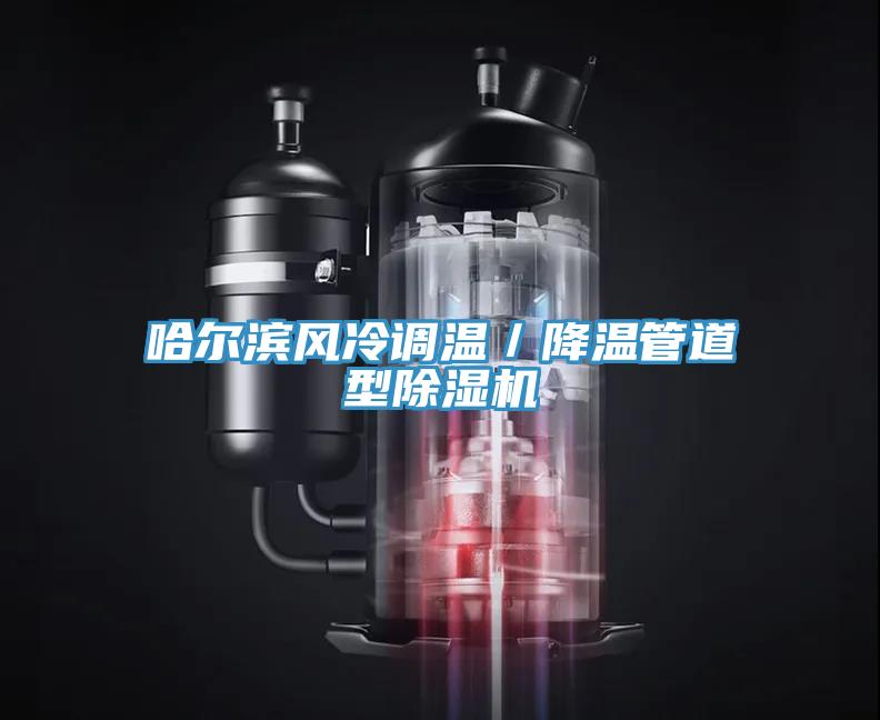 哈爾濱風冷調溫／降溫管道型蘑菇视频网站