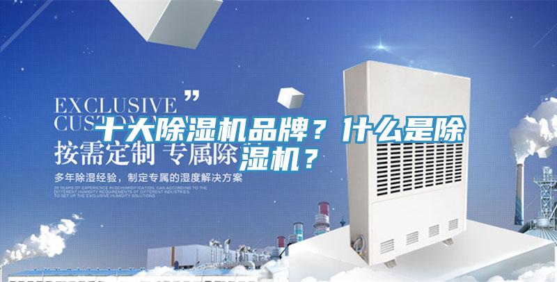 十大蘑菇视频网站品牌？什麽是蘑菇视频网站？