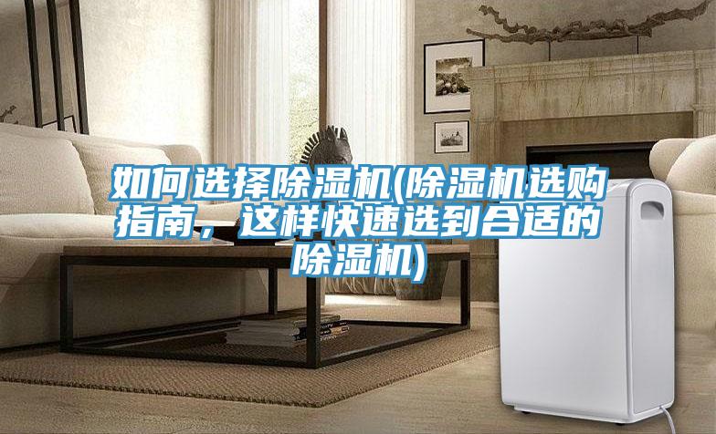 如何選擇蘑菇视频网站(蘑菇视频网站選購指南，這樣快速選到合適的蘑菇视频网站)