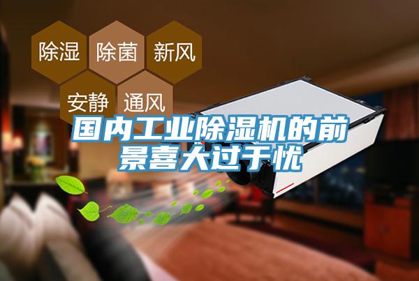 國內工業蘑菇视频网站的前景喜大過於憂