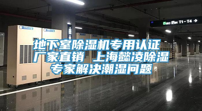 地下室蘑菇视频网站專用認證 廠家直銷 上海懿淩除濕專家解決潮濕問題