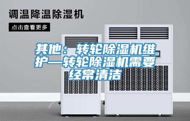 其他：轉輪蘑菇视频网站維護—轉輪蘑菇视频网站需要經常清潔