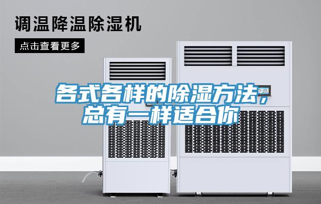 各式各樣的除濕方法，總有一樣適合你