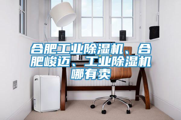 合肥工業蘑菇视频网站、合肥峻邁、工業蘑菇视频网站哪有賣