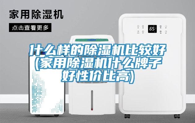 什麽樣的蘑菇视频网站比較好(家用蘑菇视频网站什麽牌子好性價比高)
