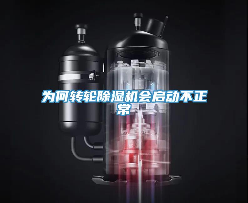 為何轉輪蘑菇视频网站會啟動不正常