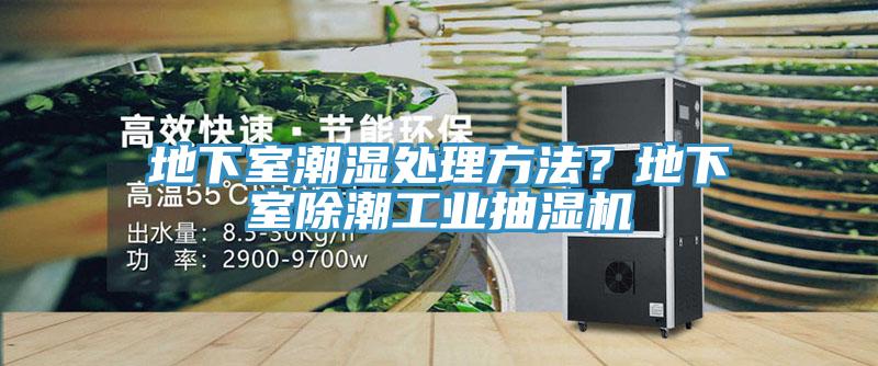 地下室潮濕處理方法？地下室除潮工業抽濕機