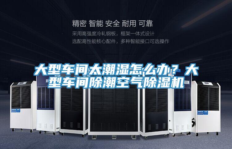 大型車間太潮濕怎麽辦？大型車間除潮空氣蘑菇视频网站