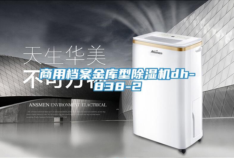 商用檔案金庫型蘑菇视频网站dh-838-2