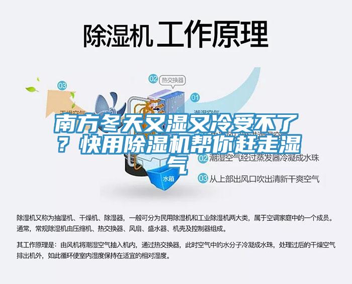南方冬天又濕又冷受不了？快用蘑菇视频网站幫你趕走濕氣