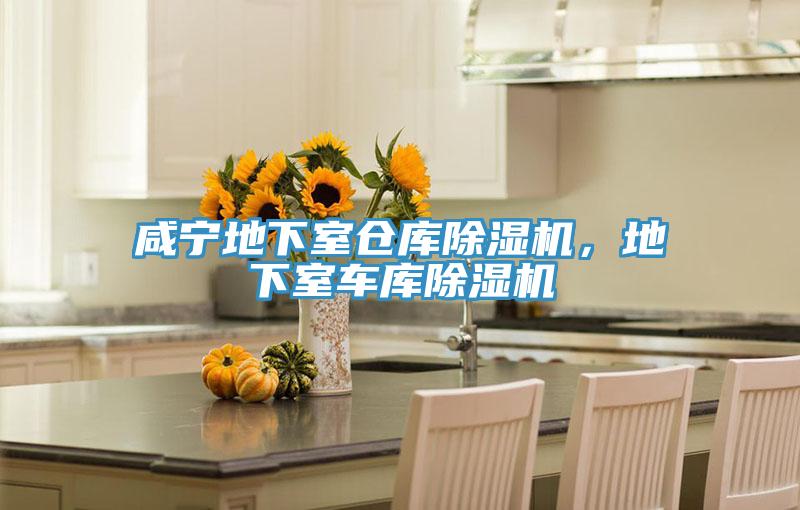 鹹寧地下室倉庫蘑菇视频网站，地下室車庫蘑菇视频网站