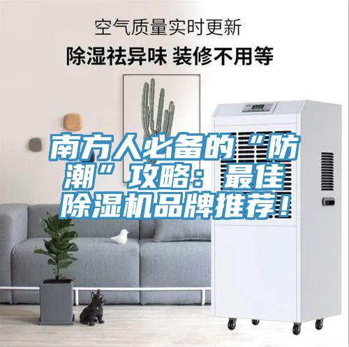 南方人必備的“防潮”攻略：最佳蘑菇视频网站品牌推薦！