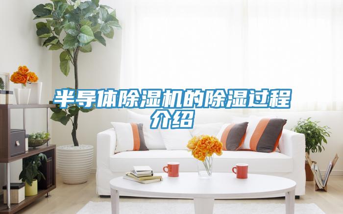 半導體蘑菇视频网站的除濕過程介紹