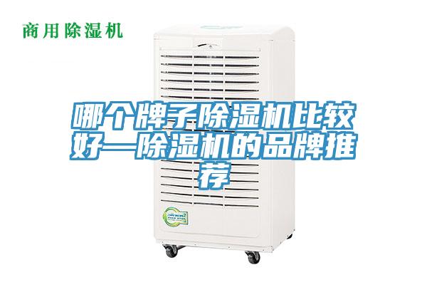哪個牌子蘑菇视频网站比較好—蘑菇视频网站的品牌推薦