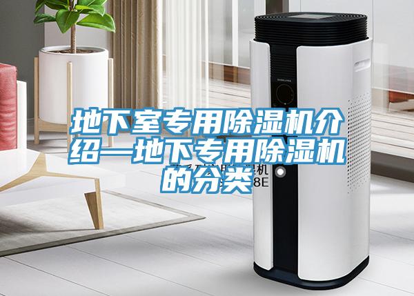 地下室專用蘑菇视频网站介紹—地下專用蘑菇视频网站的分類