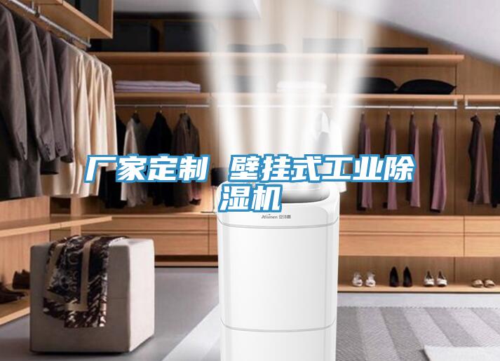 廠家定製 壁掛式工業蘑菇视频网站