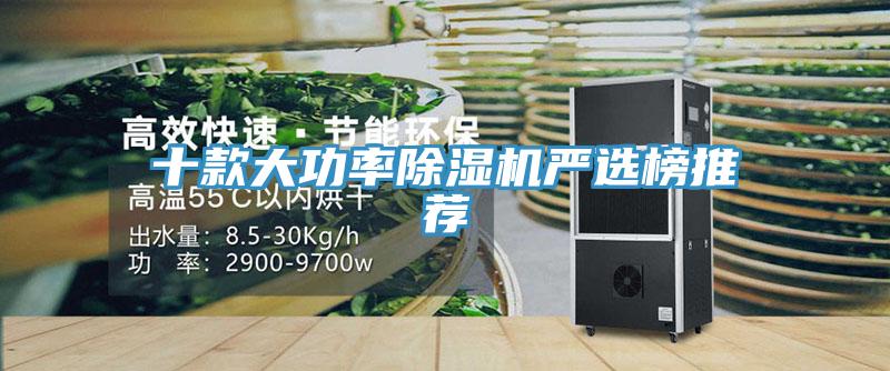 十款大功率蘑菇视频网站嚴選榜推薦