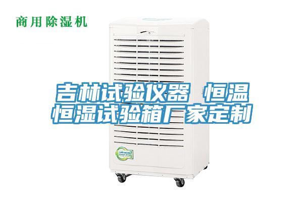 吉林試驗儀器 恒溫恒濕試驗箱廠家定製