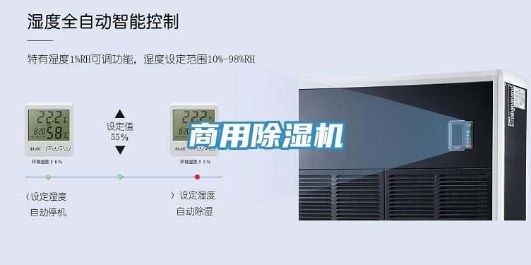 商用蘑菇视频网站