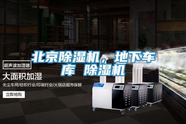 北京蘑菇视频网站，地下車庫 蘑菇视频网站
