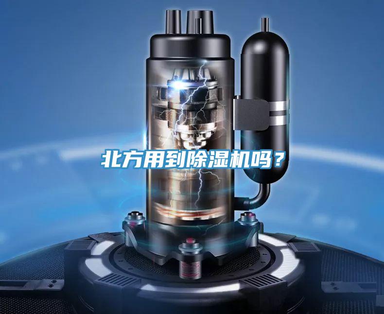北方用到蘑菇视频网站嗎？