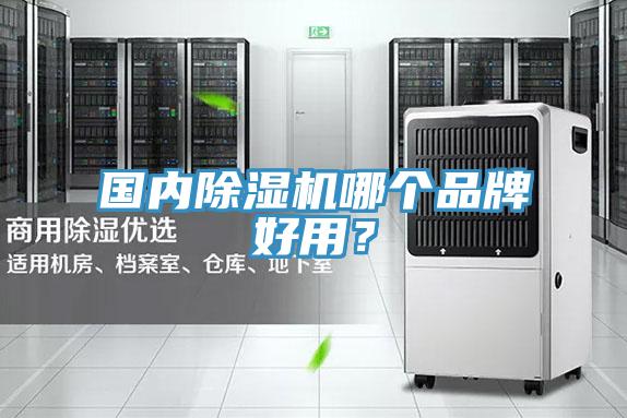 國內蘑菇视频网站哪個品牌好用？