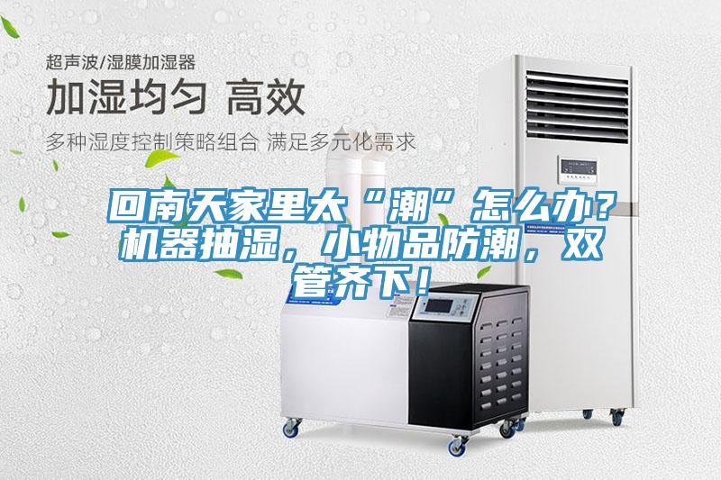 回南天家裏太“潮”怎麽辦？機器抽濕，小物品防潮，雙管齊下！