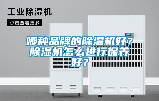 哪種品牌的蘑菇视频网站好？蘑菇视频网站怎麽進行保養好？