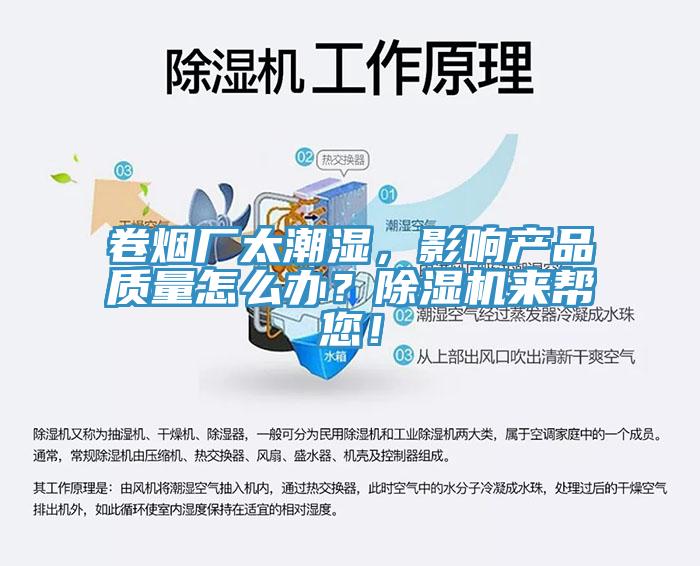 卷煙廠太潮濕，影響產品質量怎麽辦？蘑菇视频网站來幫您！