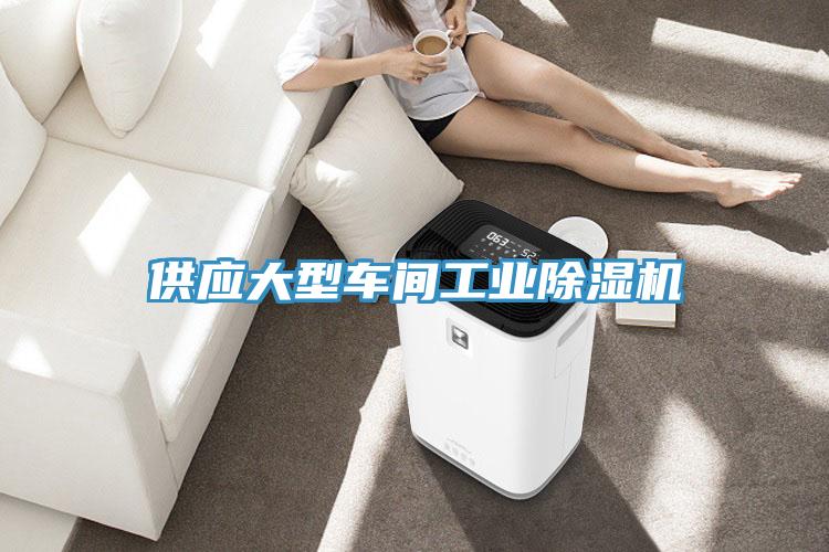 供應大型車間工業蘑菇视频网站